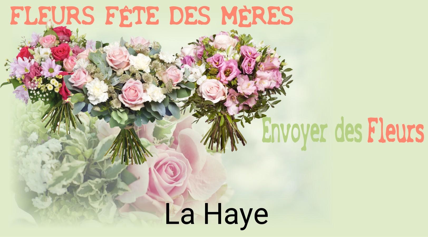 Bouquet de Fête des Mères livré à La Haye